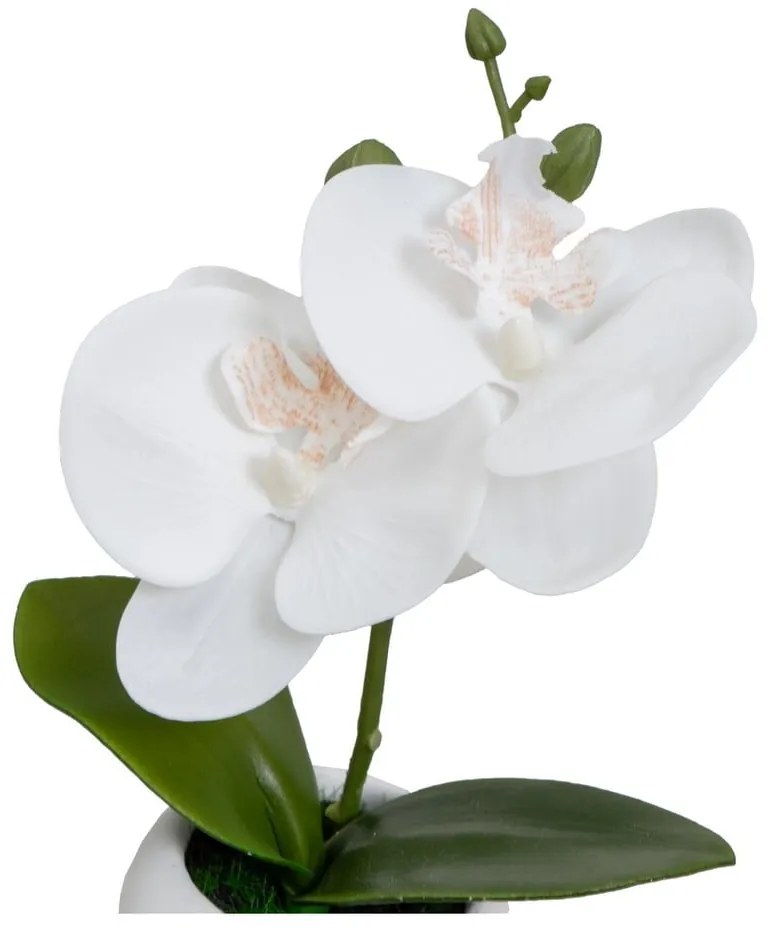 Műnövény szett 3 db-os (magasság 15 cm) Orchid – Casa Selección