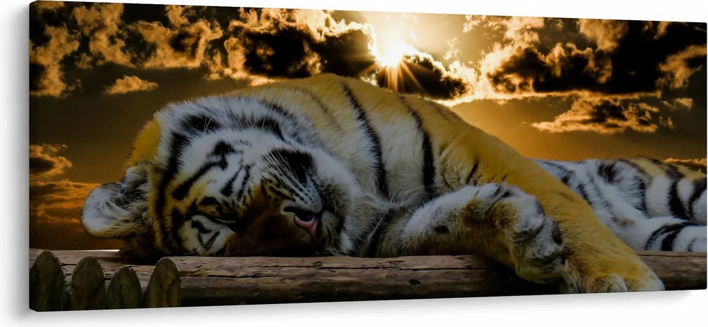 Alvó tigris képe (120x50 cm)