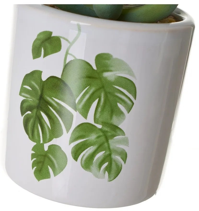 Művirág szett 4 db-os Cactus – Casa Selección