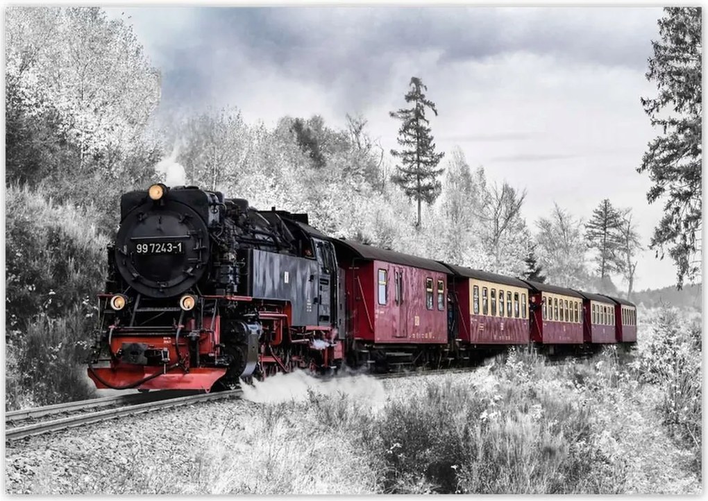 Poszterek 100x70 Vonat és téli aura