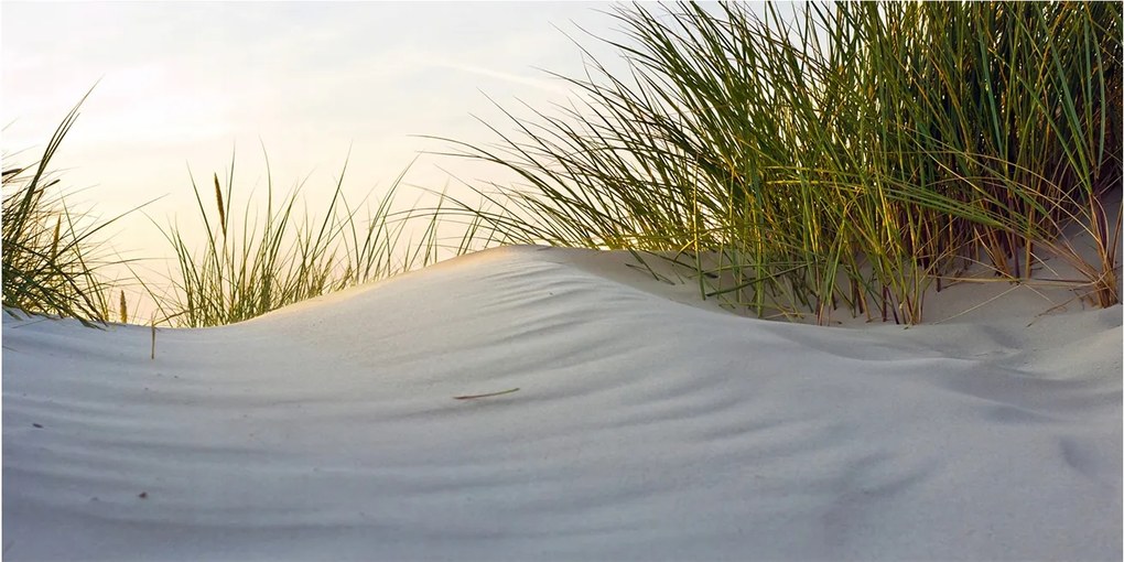 Fotó üvegkép Tengerparti dűnék 140x70