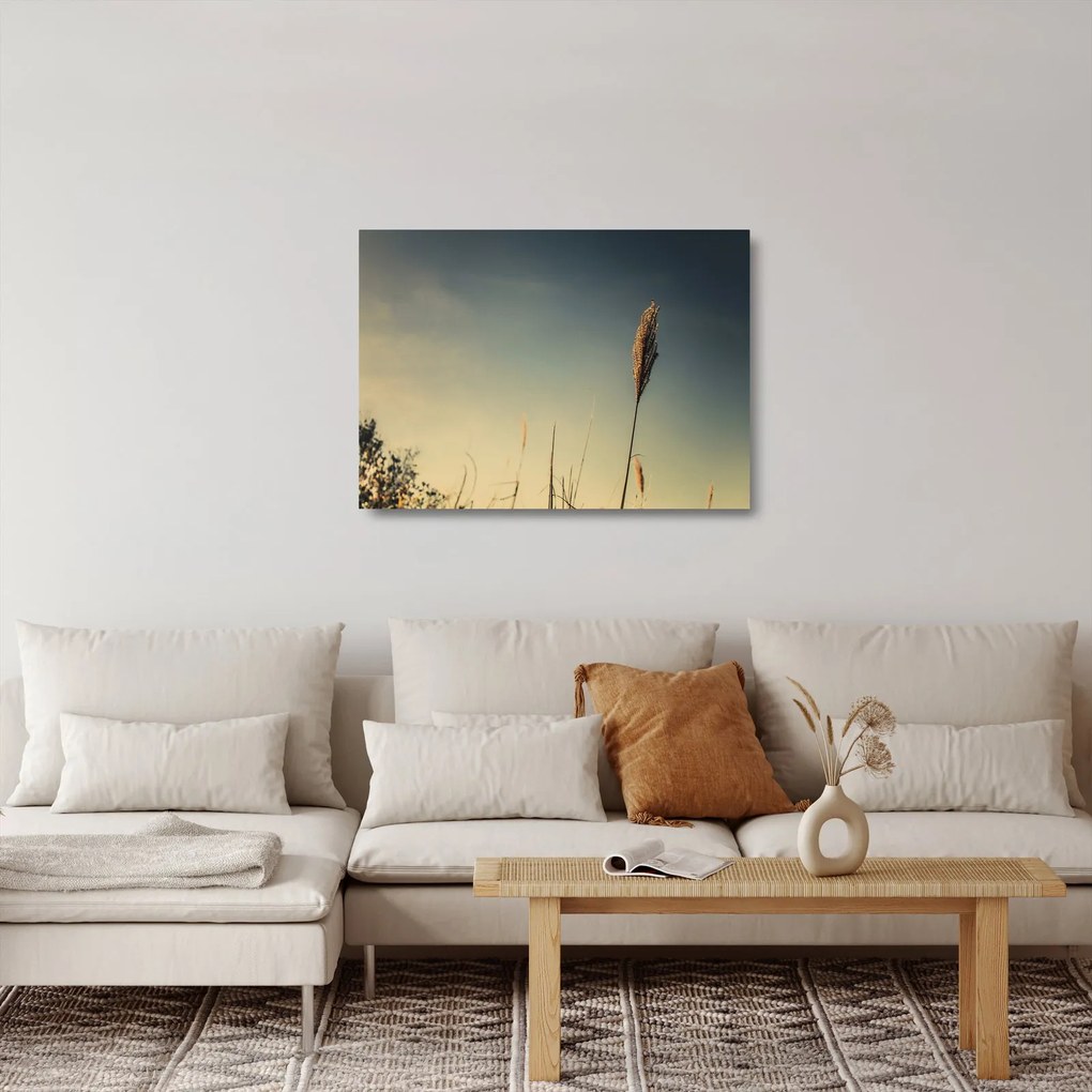 A fű képe (üvegen) (70x50 cm)