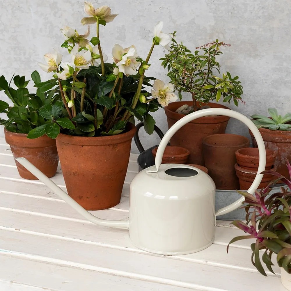 Fém locsolókanna 1 l – Rex London