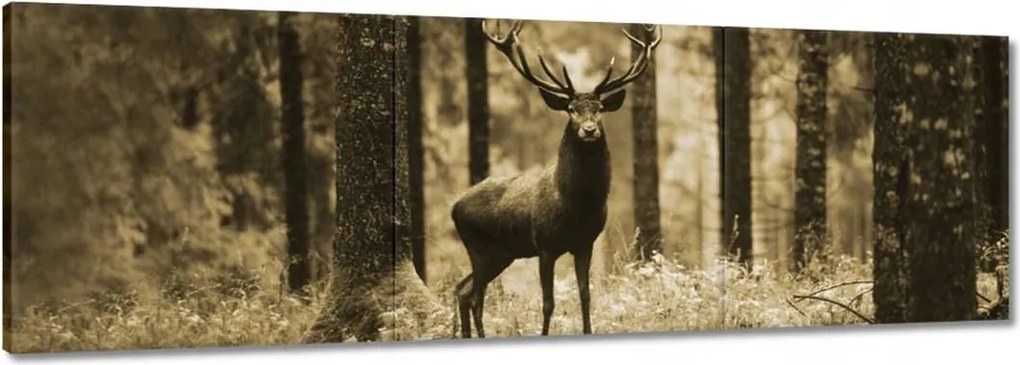 Vászonkép 150x50 Szarvas a szépia erdőben