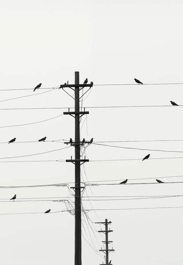 Poszter 68x98cm Szimfónia a dróton