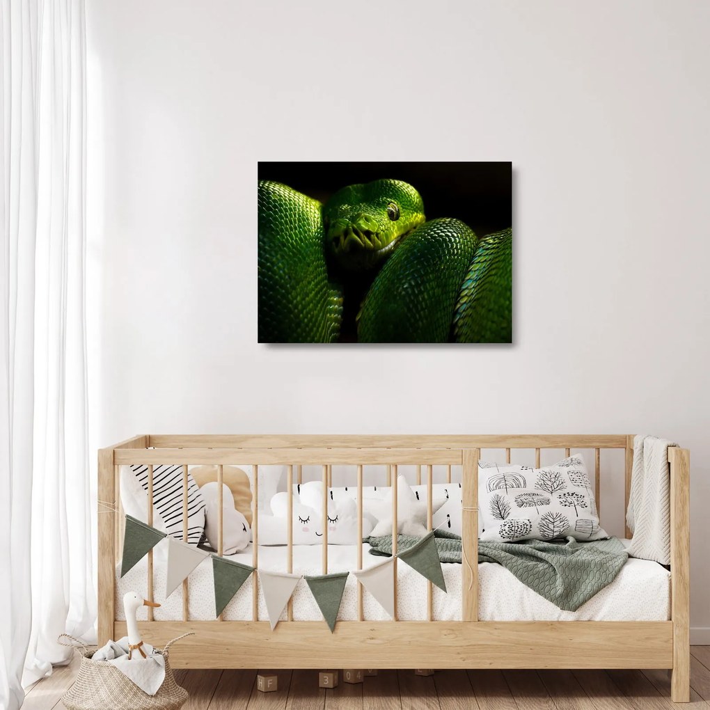 Üveg kép - Zöld kígyó (70x50 cm)