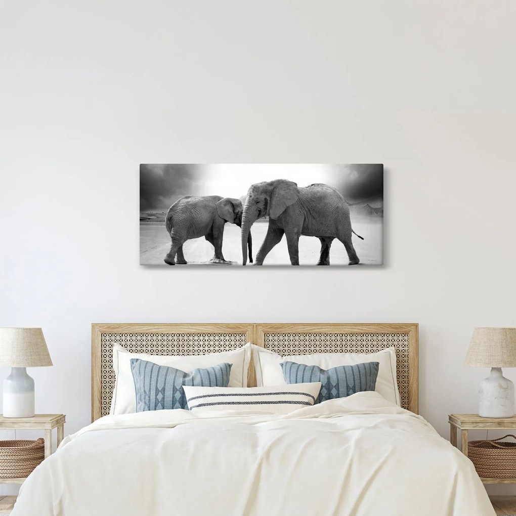 Kép - fekete fehér elefántok (120x50 cm)