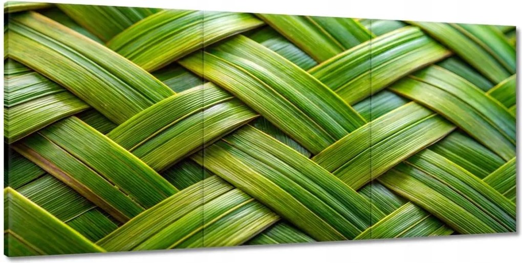 Vászonkép 210x100 Zöld zsinór Zöld ratt