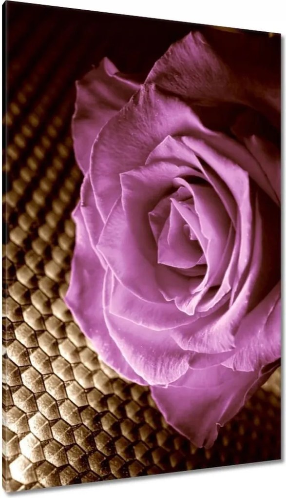 Vászonkép 80x120 Rózsa Lila és szépia