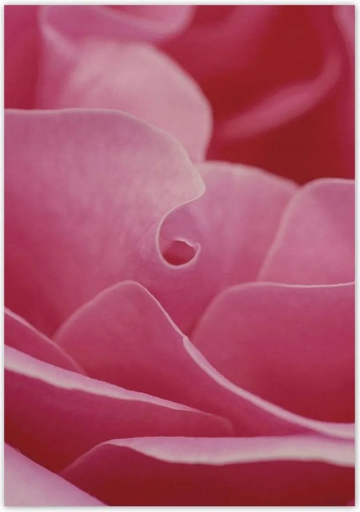 Poszterek 70x100 Nőnap Ajándék Love