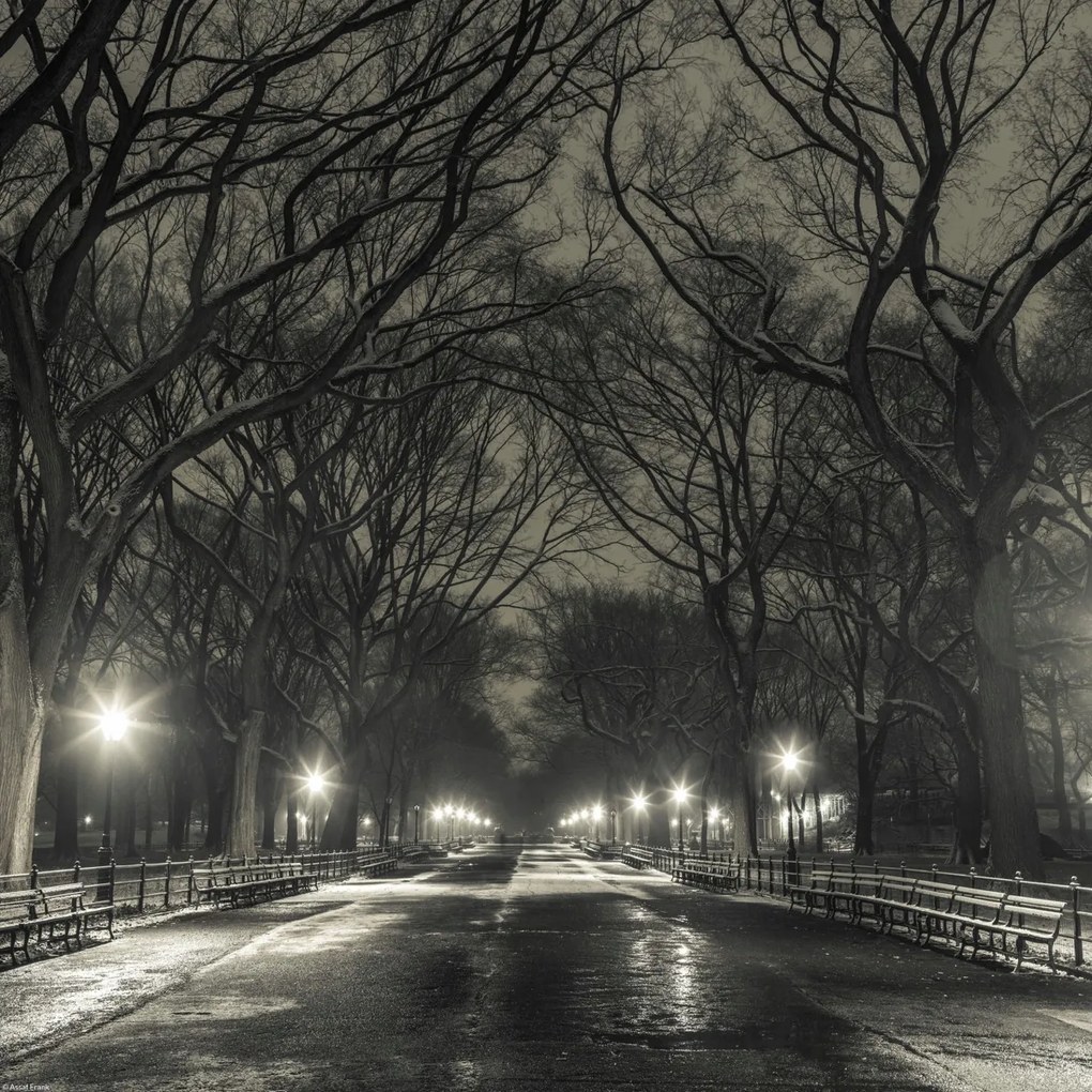 Poszter 40x40cm Éjszakai kilátás a Central Parkon át vezető útra, Assaf Frank