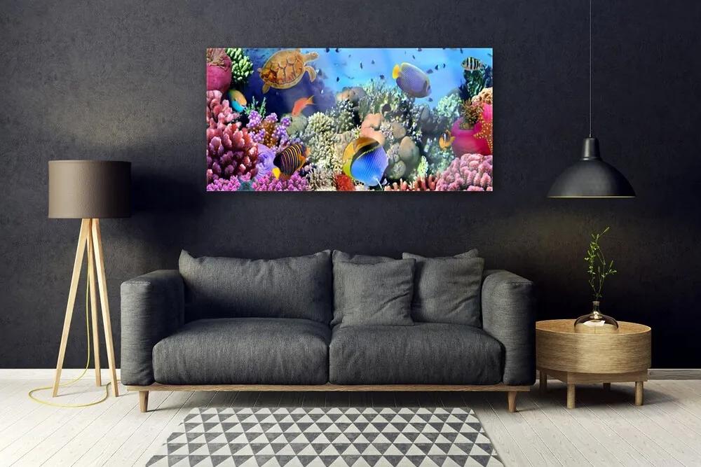 Modern üvegkép Barrier Reef Nature 125x50 cm