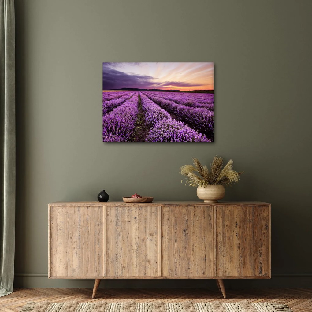 Kép - Levendulamező naplementében (70x50 cm)