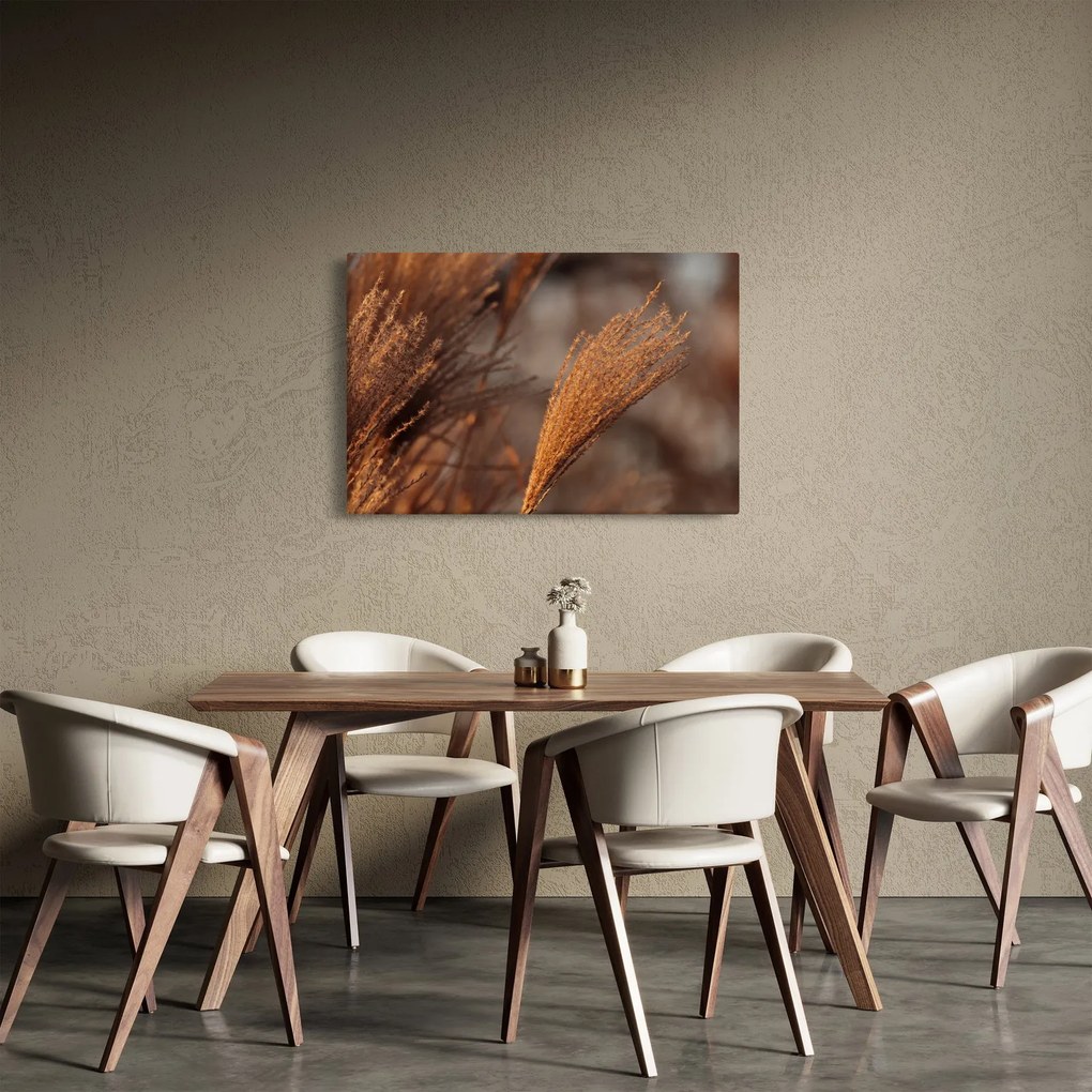 Kép - Cortaderia (90x60 cm)