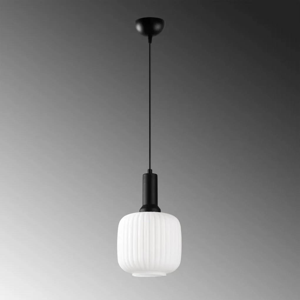Asker 15187 fekete fém-üveg függőlámpa, Ø20 cm