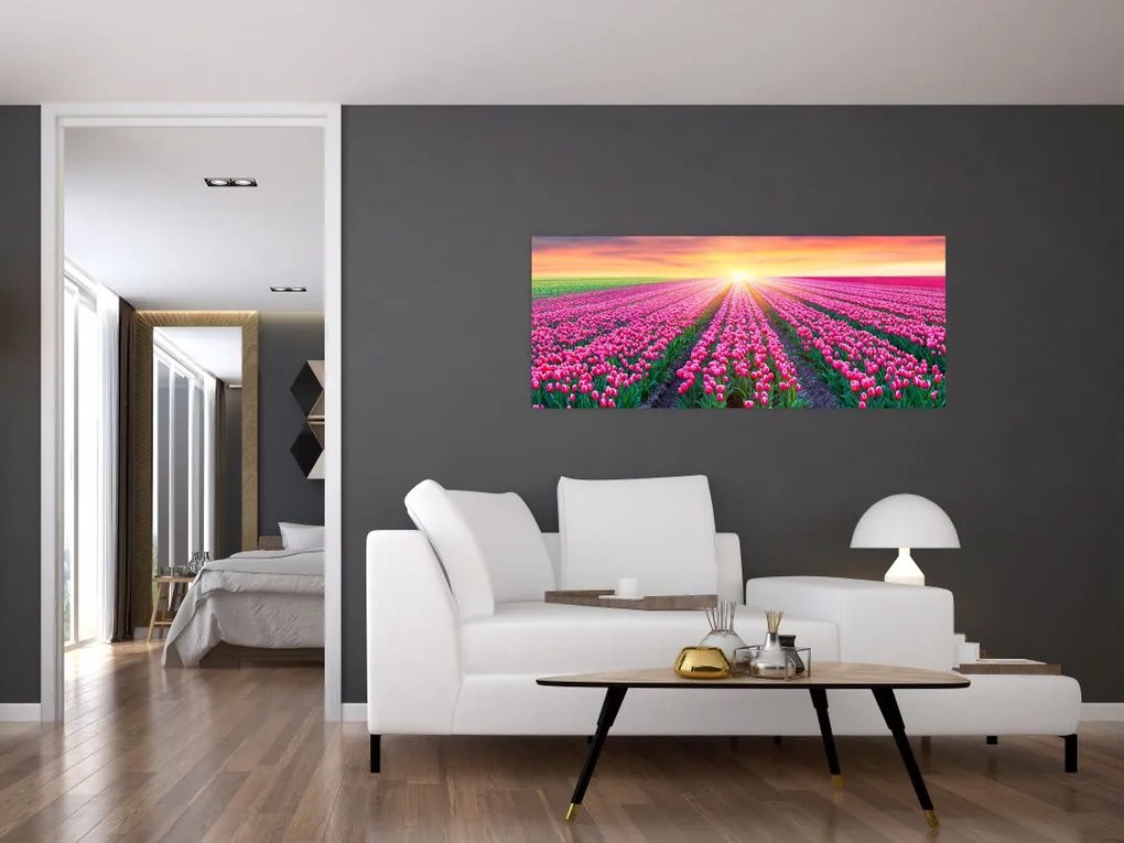 Tulipán mező és a nap képe (120x50 cm)