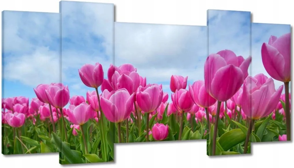 Képek 120x65 Tulipánok Valentin napra