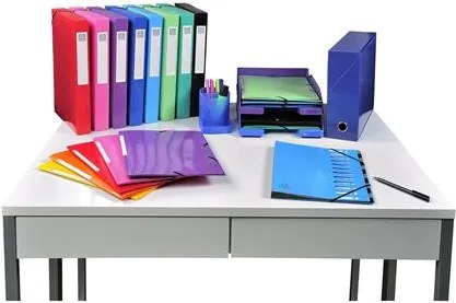 Gumis mappa, karton, A4, EXACOMPTA Iderama, lila (EX55826E)