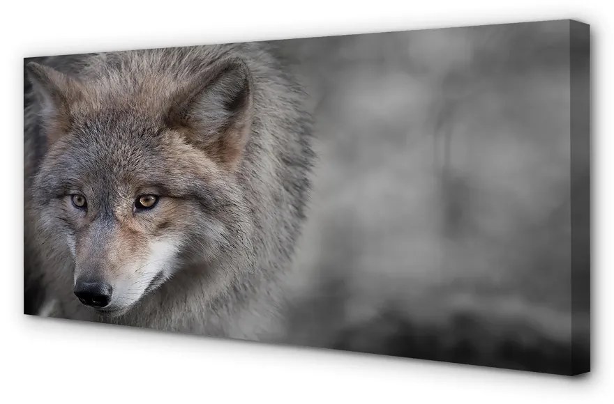 Canvas képek Farkas 125x50 cm