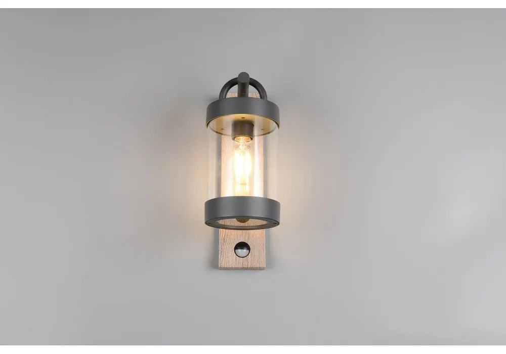 Fali kültéri lámpa (magasság 33 cm) Sambesi – Trio