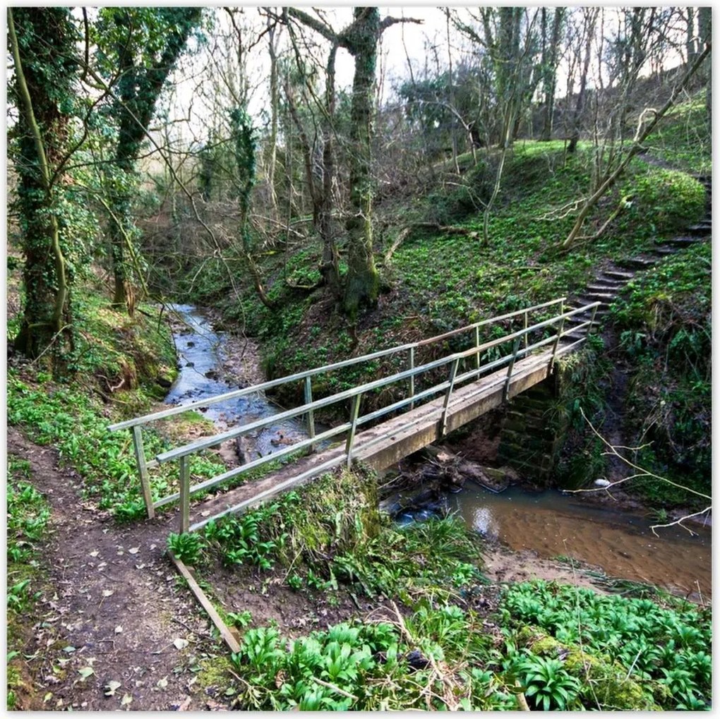 Poszterek 100x100 Híd a parkban