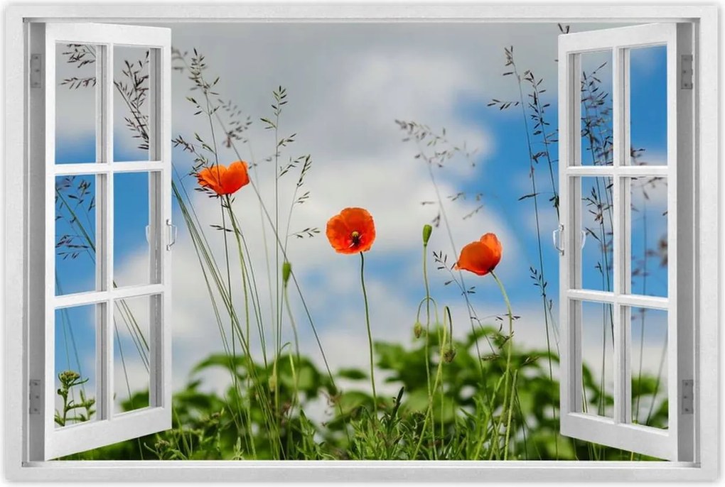 Poszterek 90x60 Piros mezei pipacs