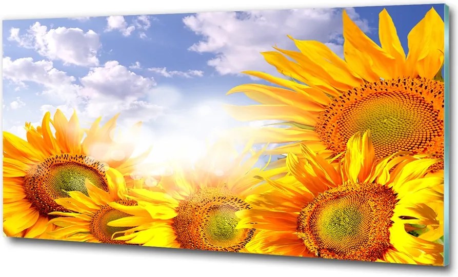 Fotó kép edzett üveg Alagút fákkal 100x70