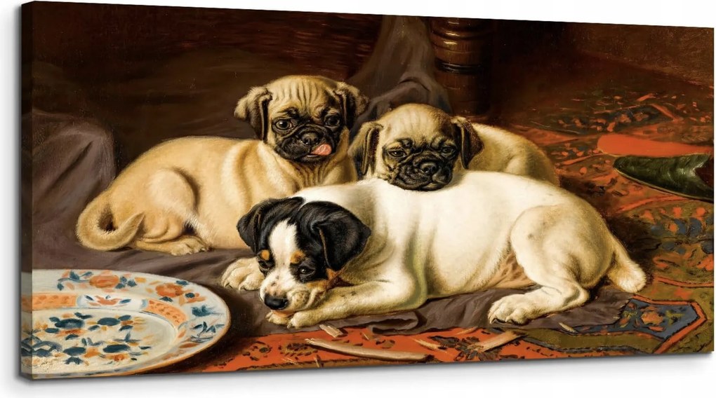 Modern vászonkép – három kutya fali dekoráció 50 × 100 cm