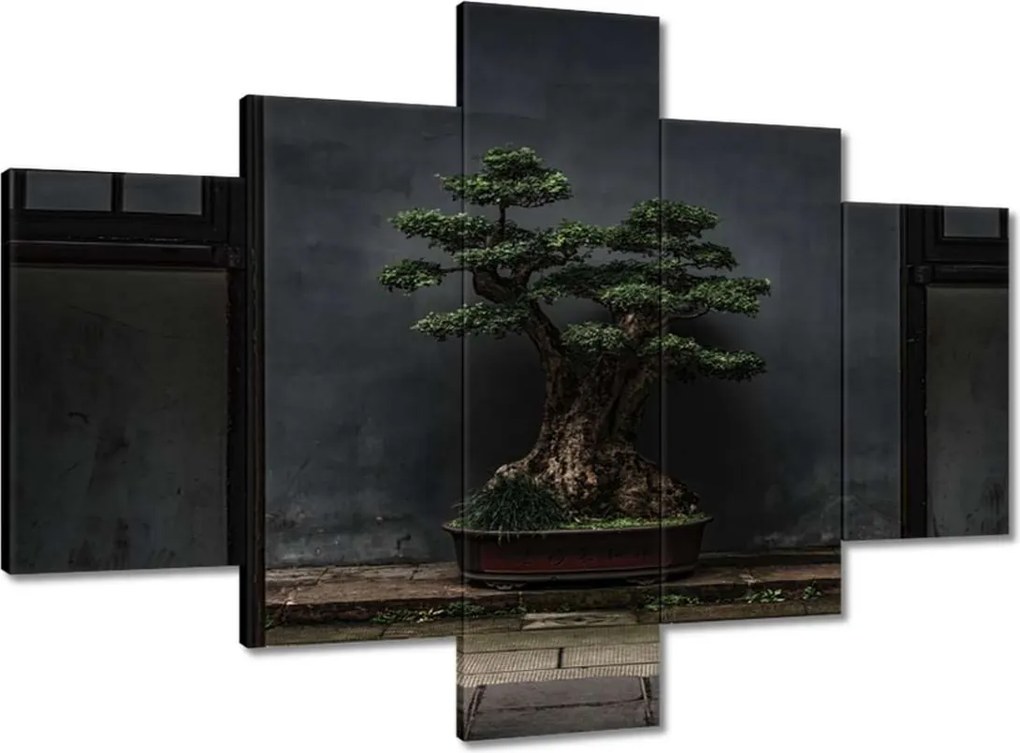 Vászonkép 100x70 Bonsai Fa Kultúra
