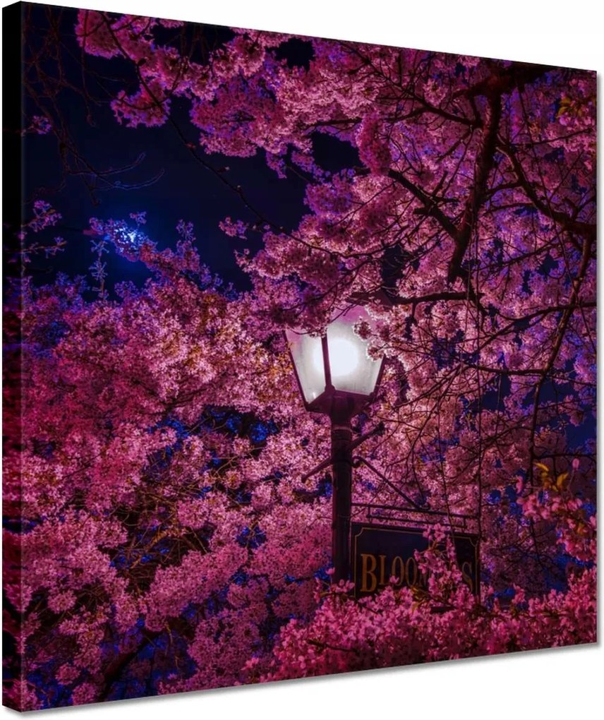 Vászonkép 30x30 Mély éjszaka Lámpa Virágok