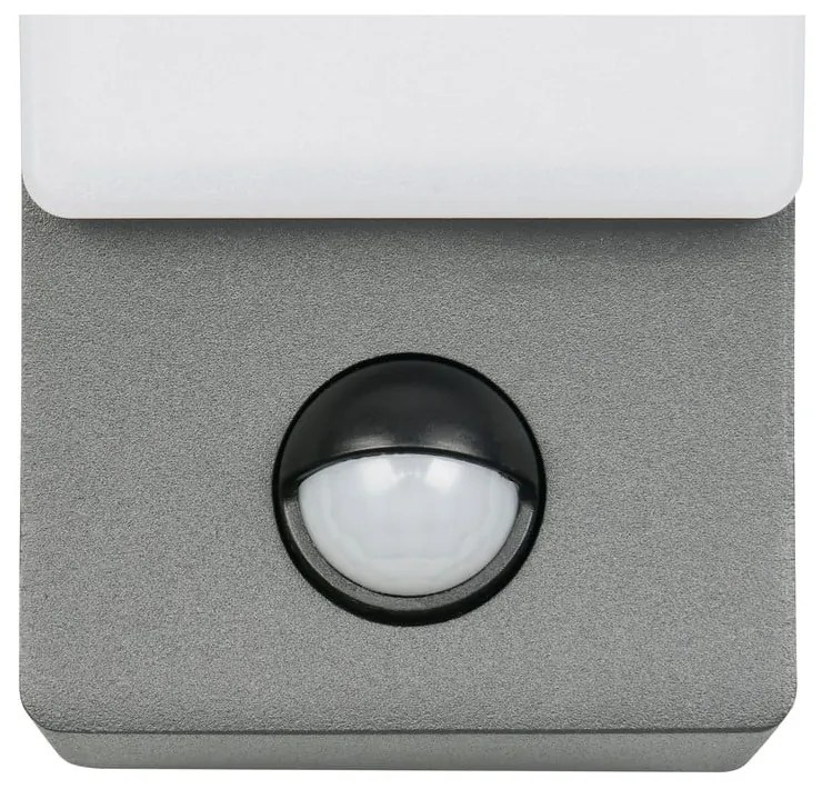 LED fali kültéri lámpa (magasság 22,5 cm) Beja – Trio