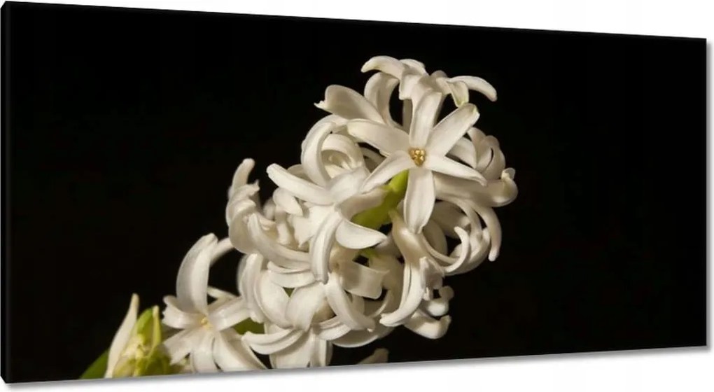 Vászonkép 115x55 Fehér virág