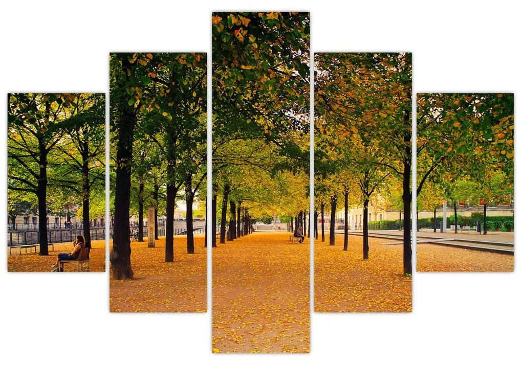 Egy kép az őszi fák sikátorából (150x105 cm)