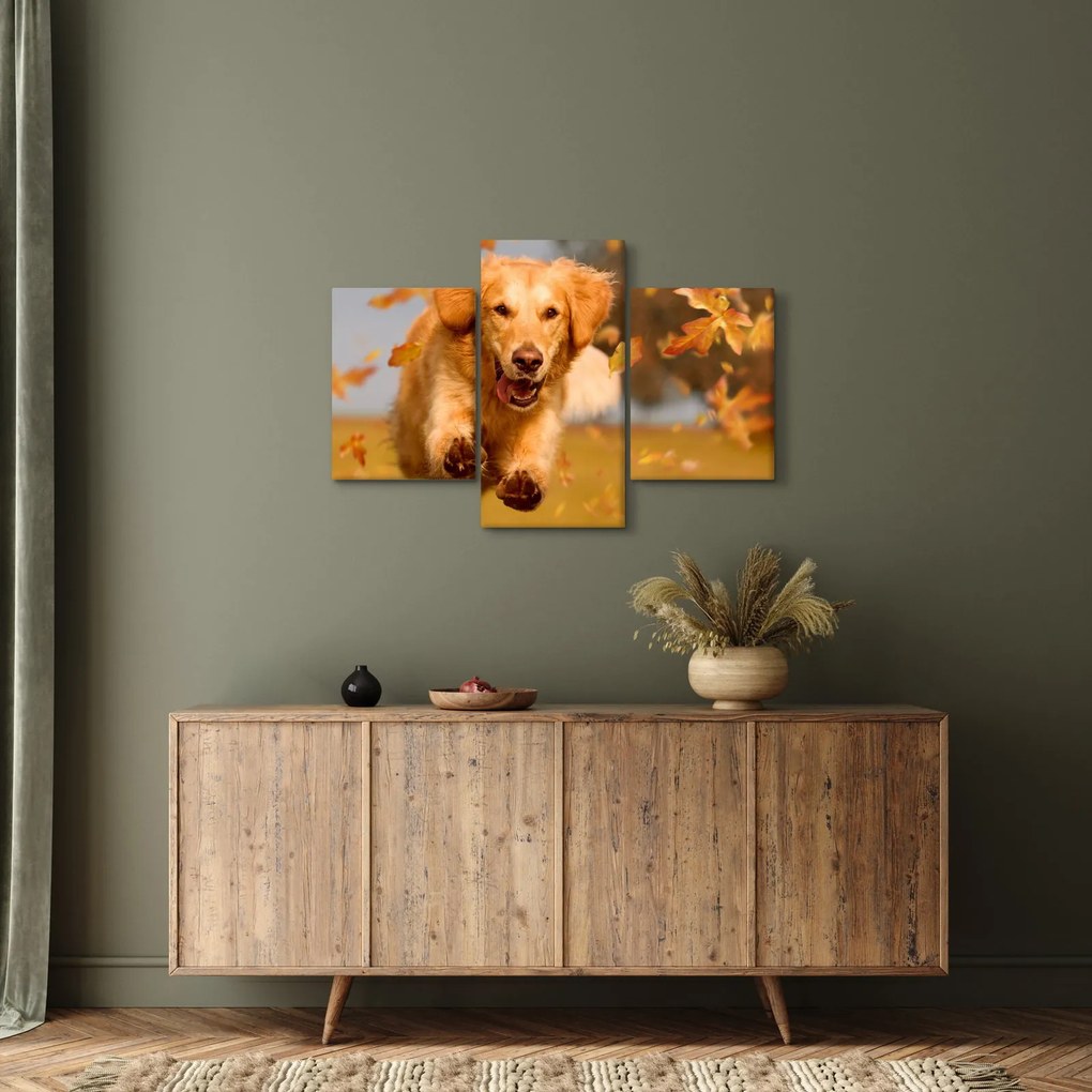 Kép - Golden Retriever (90x60 cm)