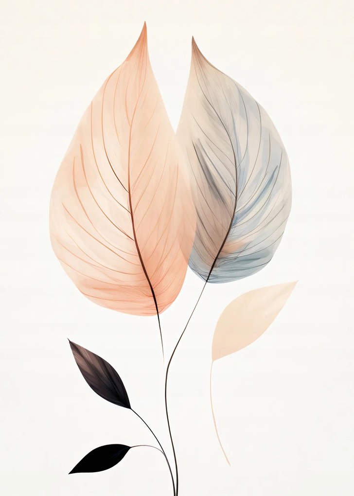 Poszter 25x35cm Leveles tánc