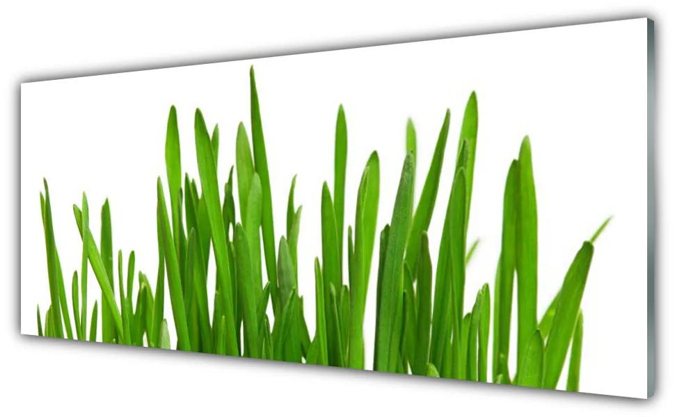 Üvegkép Grass A Wall 120x60cm