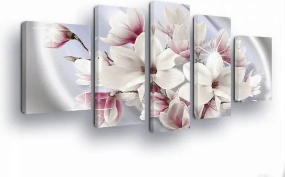 Vászonkép 170x100 Magnólia virágok virágzás tavasz természet finomság