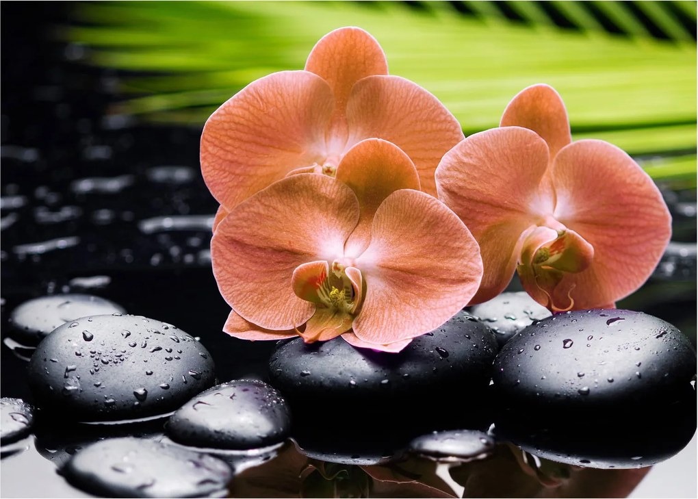 Kép - Narancssárga orchidea pálmalevelekkel (70x50 cm)