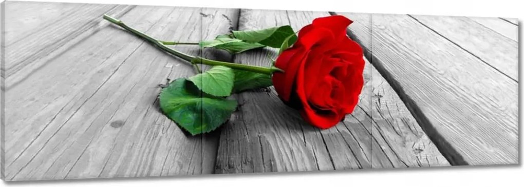 Vászonkép 150x50 Vörös rózsa a deszkákon