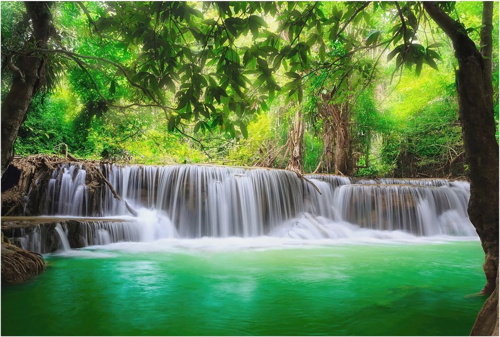 Dekoratív Fotótapéta Hálószobába Erdei vízesés 104x70 Ragasztó