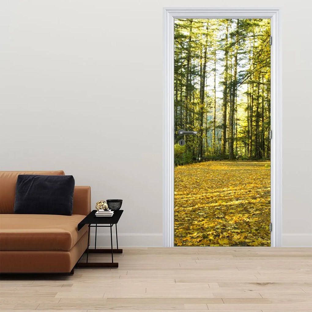 Fotótapéta ajtóra - Erdő ősszel (95x205cm)
