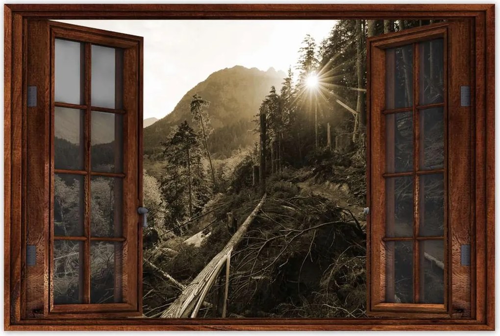 Poszterek 120x80 Szépia tájkép Szépia