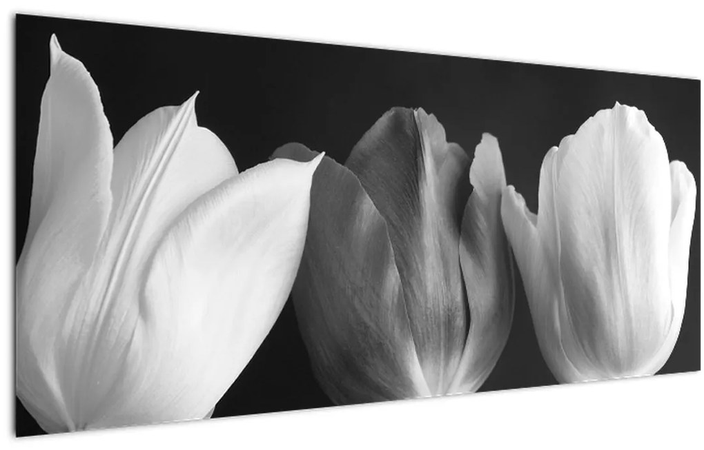 Kép - fekete-fehér tulipán virág (120x50 cm)