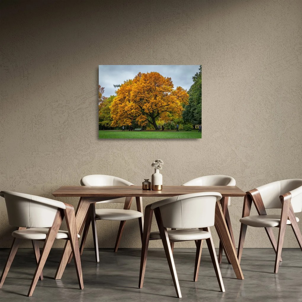 Fa képe (üvegen) (70x50 cm)