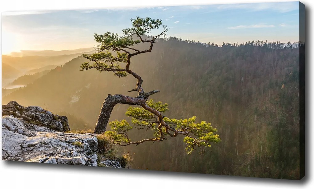 Vászonkép Sólyomkő 100x70 cm