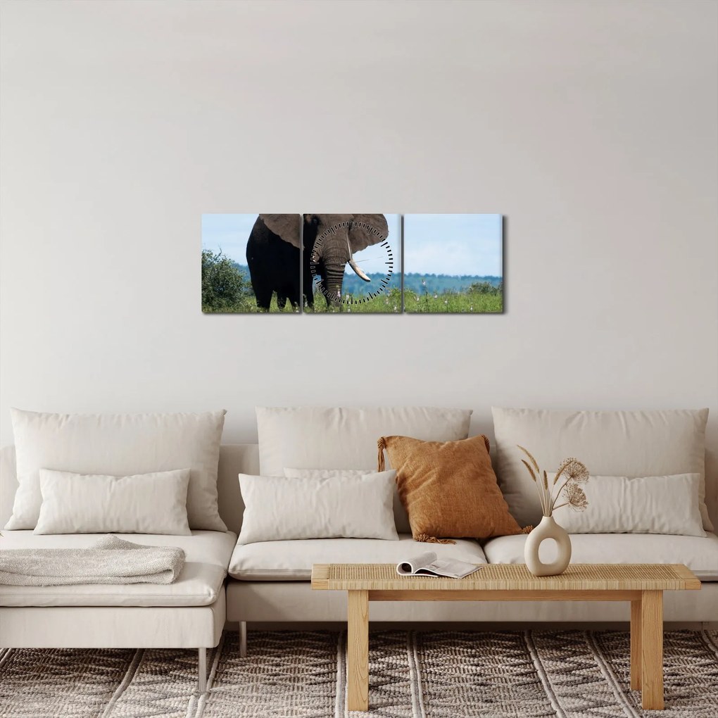 Egy elefánt képe (órával) (90x30 cm)
