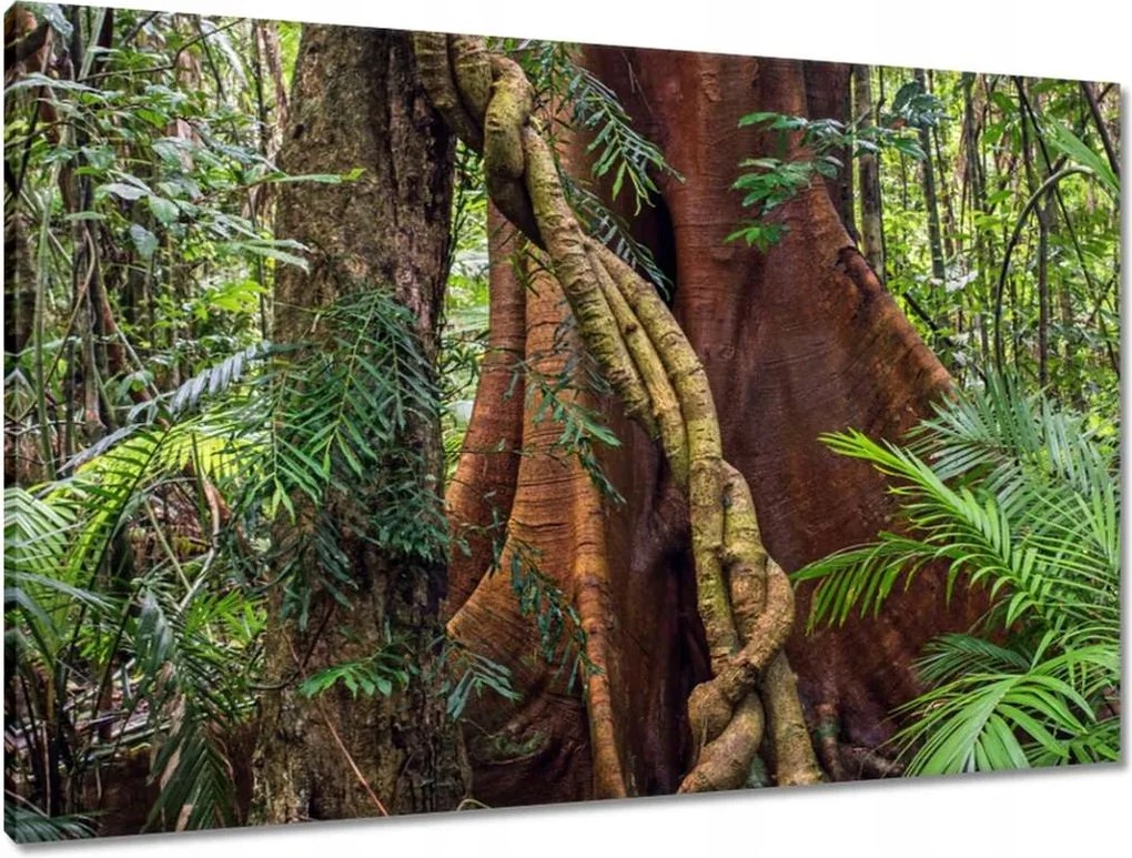 Vászonkép 90x60 Tájkép Látvány