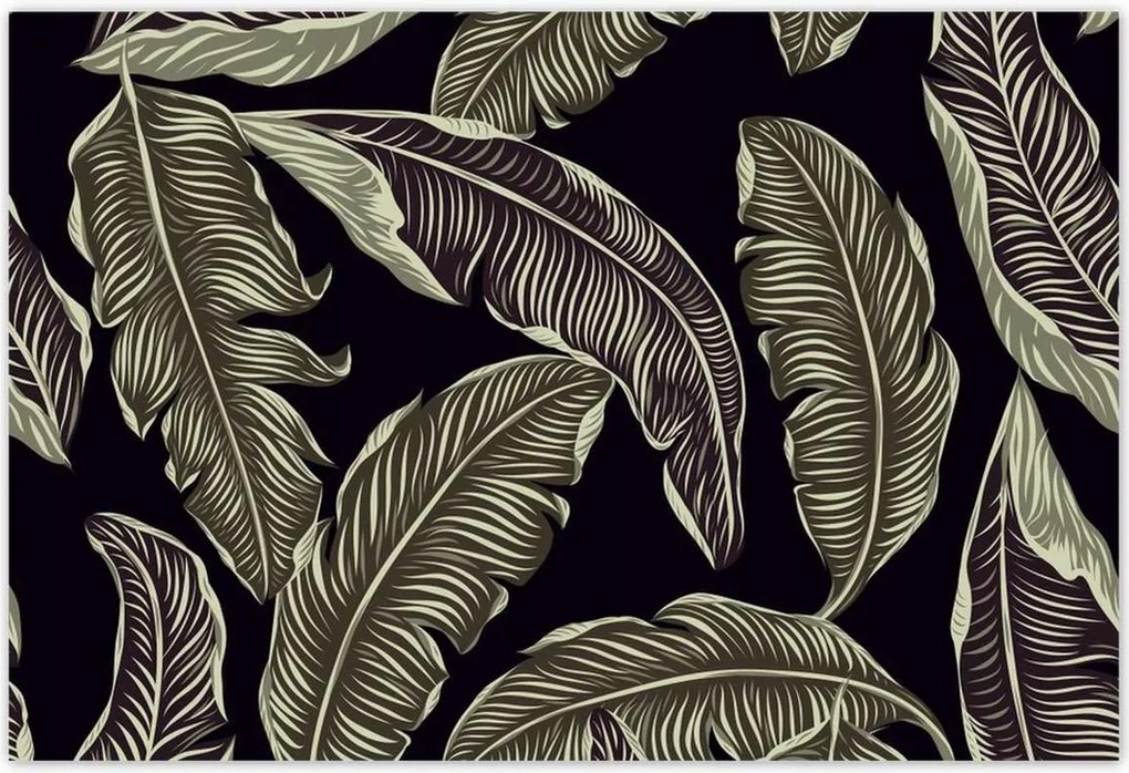 Poszterek 200x135 Trópusi levelek Levelek