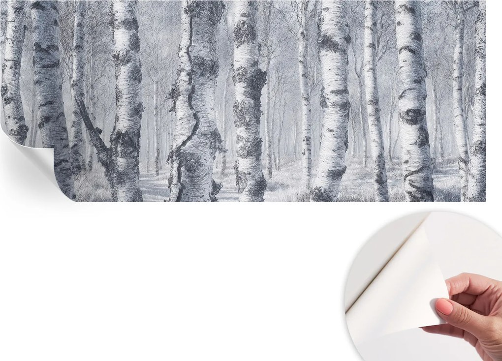 Öntapadós fotótapéta Nappaliba és Hálószobába Fagyos természet 250x104