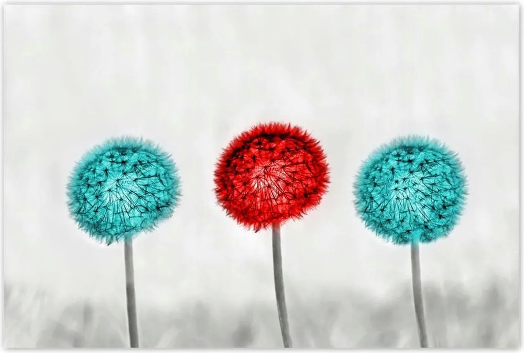 Poszterek 120x80 Piros pitypang